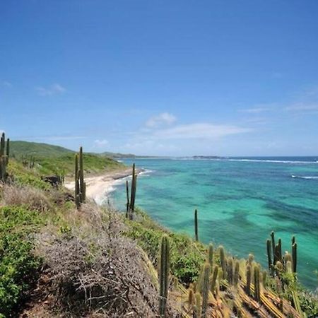 Hamo Cosy Piscine Proche Plage 圣安娜 外观 照片