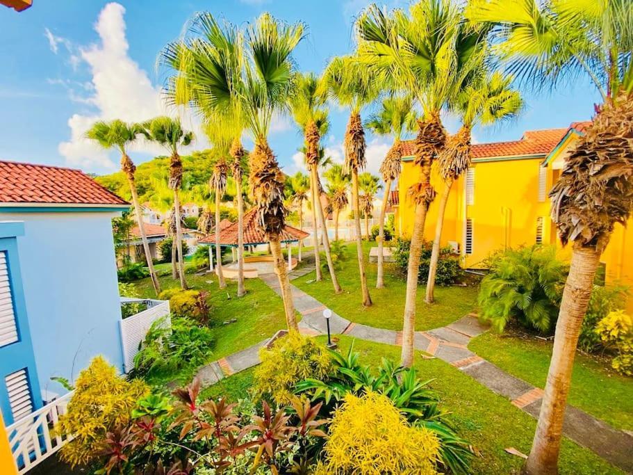 Hamo Cosy Piscine Proche Plage 圣安娜 外观 照片