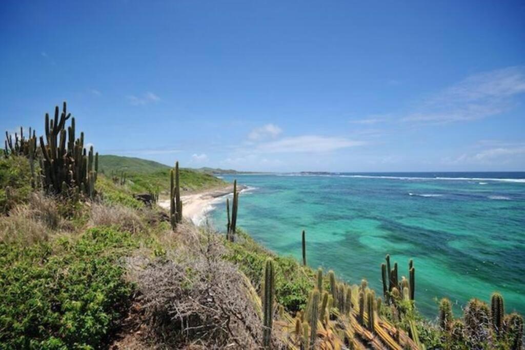 Hamo Cosy Piscine Proche Plage 圣安娜 外观 照片